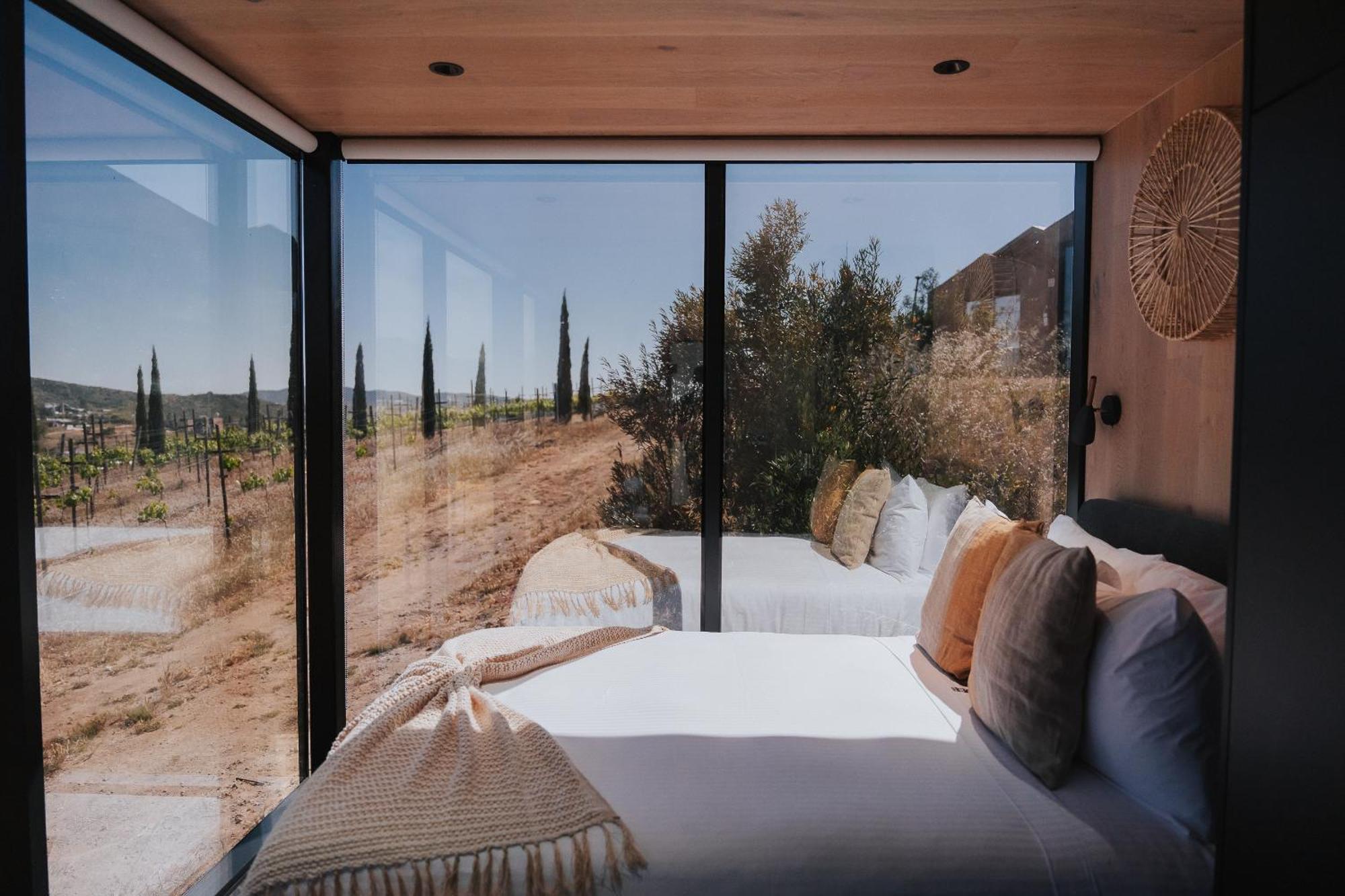 Bajo Estrellas Hotel Contemporaneo Valle de Guadalupe Exterior foto